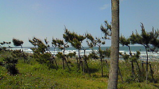 201004241405000.jpg