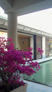201103051646000.jpg
